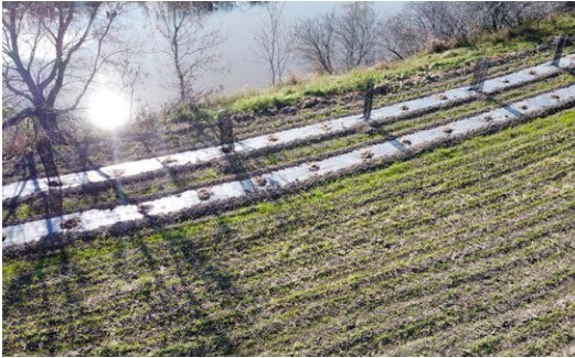 Les efforts de deux agriculteurs de Beauharnois-Salaberry sont soulignés 