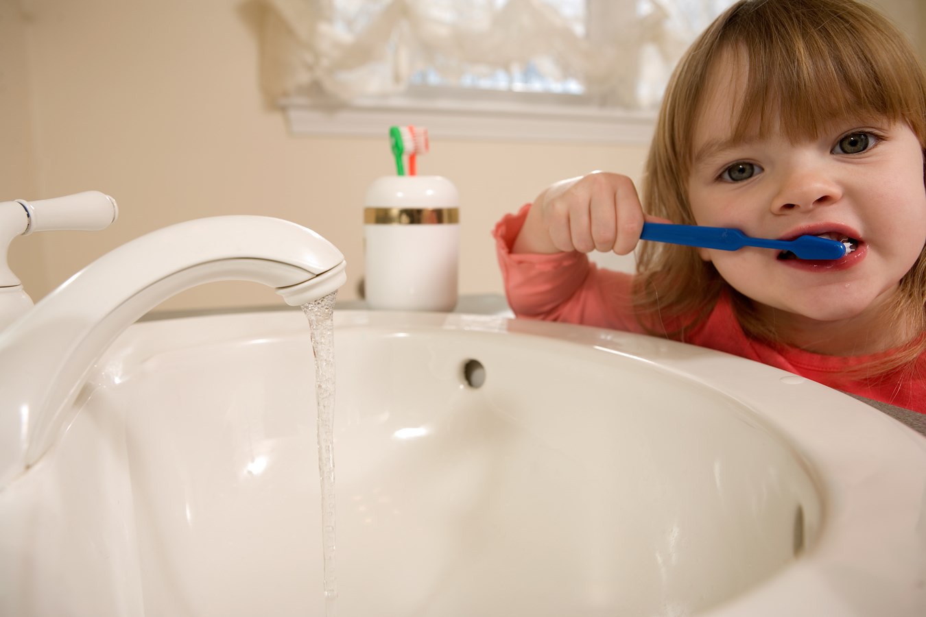 Montérégie: seven out of 10 children ready for kindergarten 