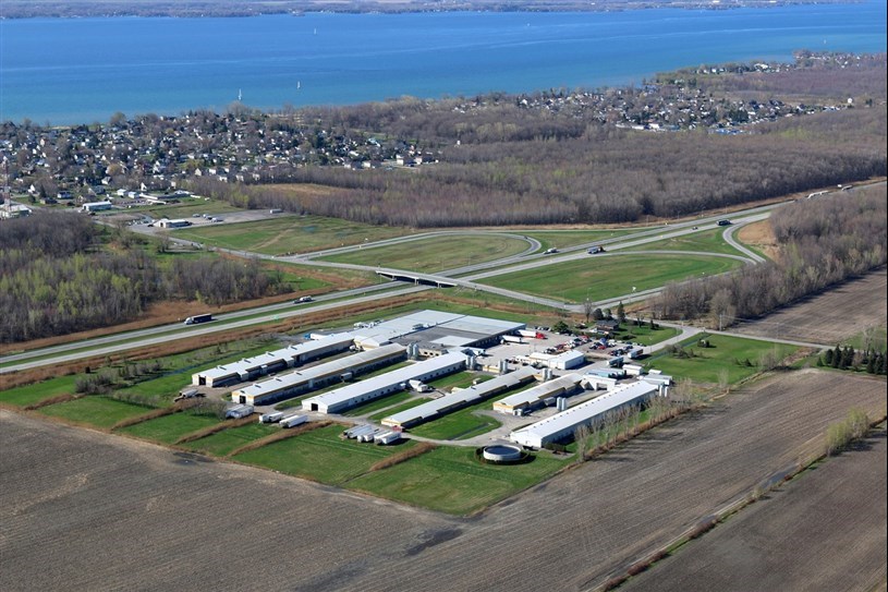 An $18 million mega-investment in Saint-Télesphore for poultry barns 