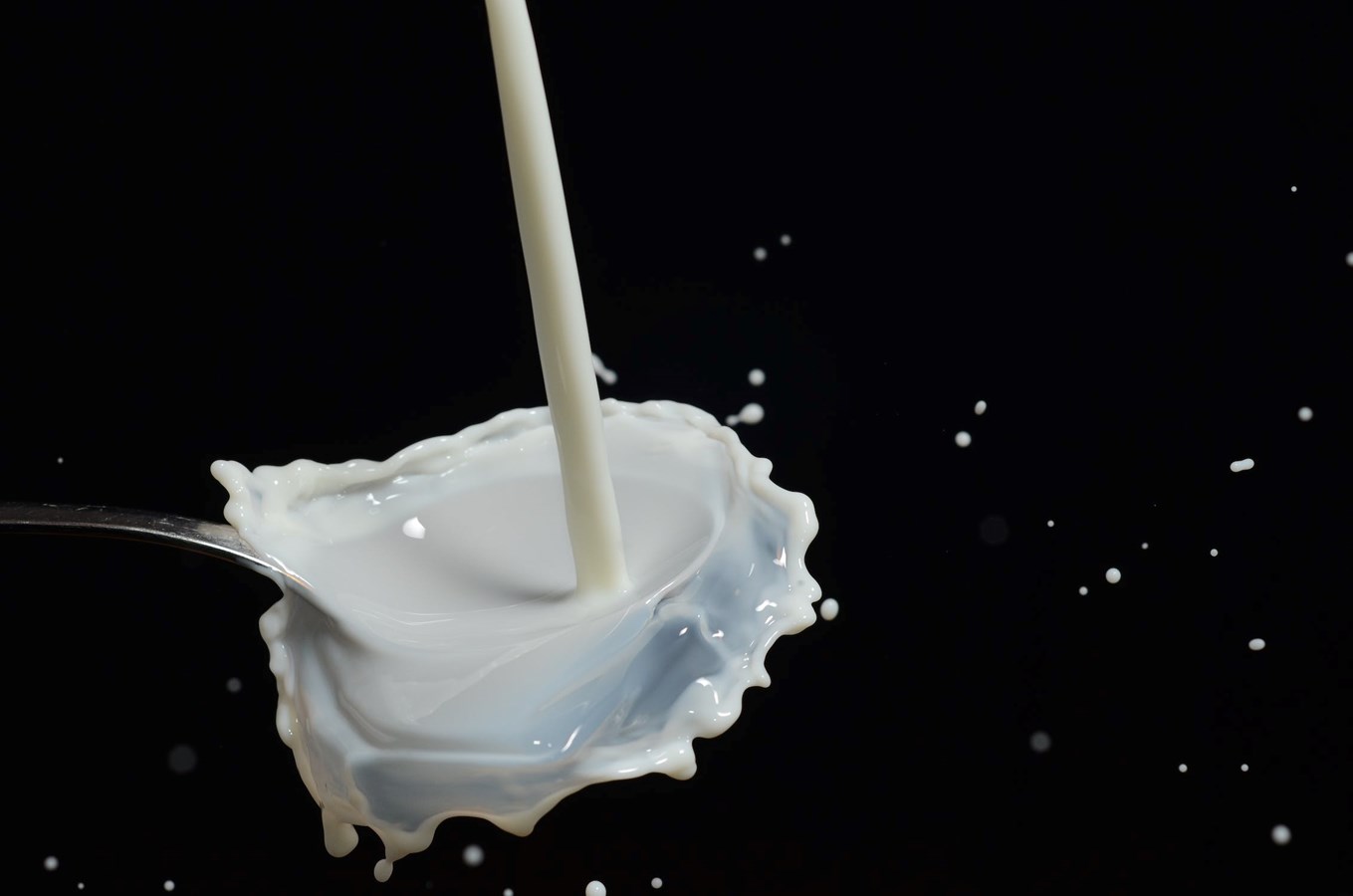 Milk producers offer milk as a Christmas present 