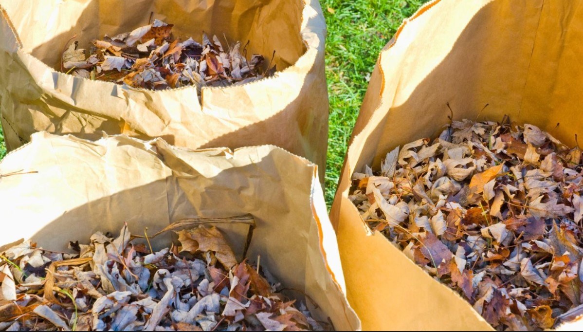 Fin des collectes spéciales de feuilles et de résidus verts à Coteau-du-Lac 