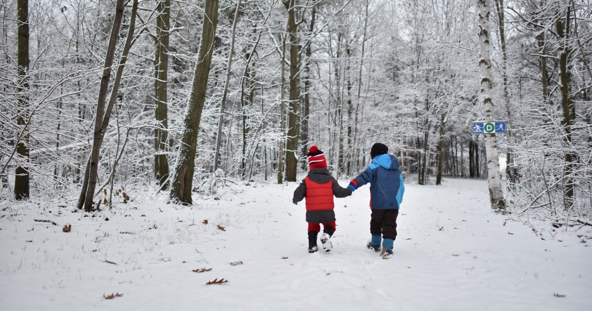 Parc nature Les Forestiers: plus que quelques jours pour répondre au sondage 