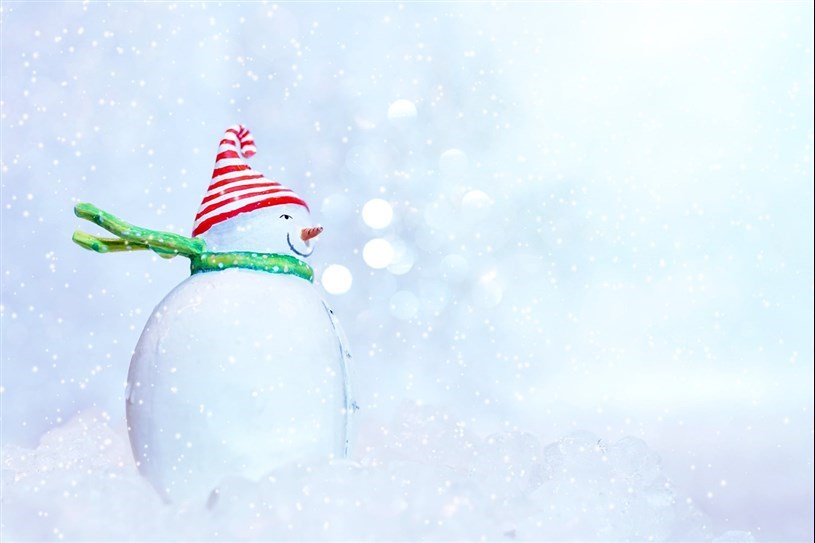 Pincourt's first home-made snow sculpture contest 