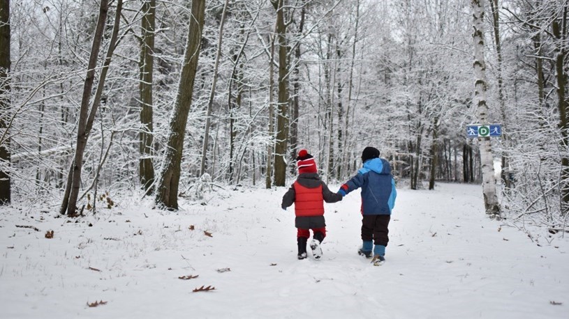 Les Forestiers nature park: only a few days left to take the survey 
