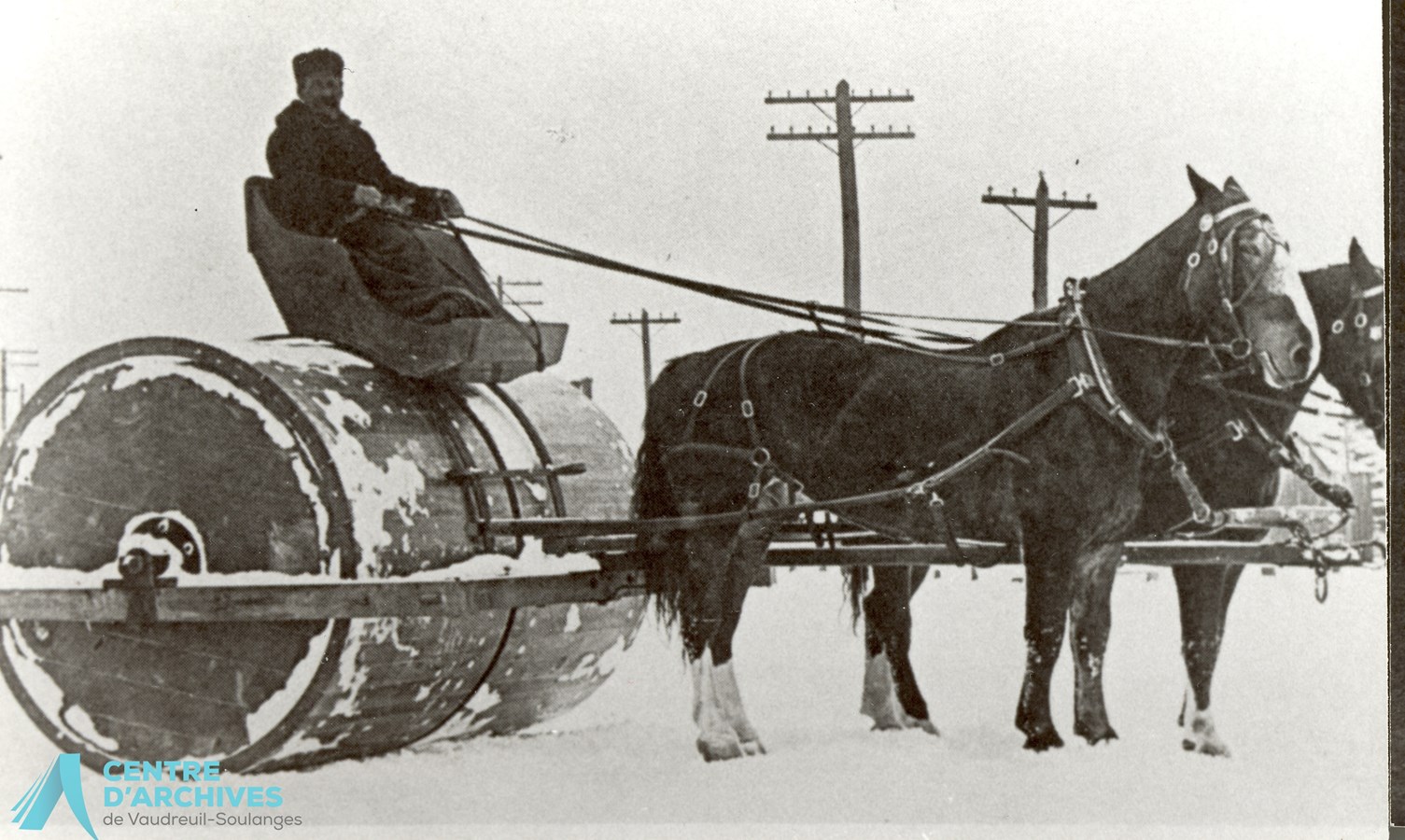 La neige : blancheur du paysage hivernal québécois