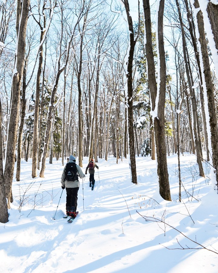 Randonnée alpine: sentiers ouverts au Mont Rigaud 