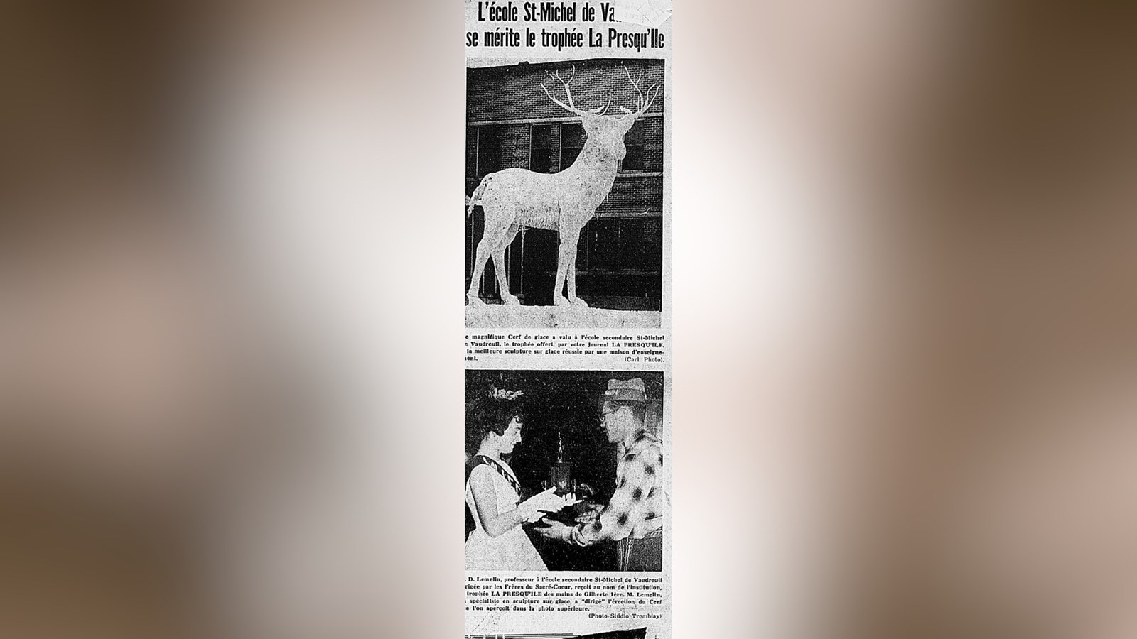 « L’école St-Michel de Vaudreuil se mérite le trophée la Presqu’Ile »
