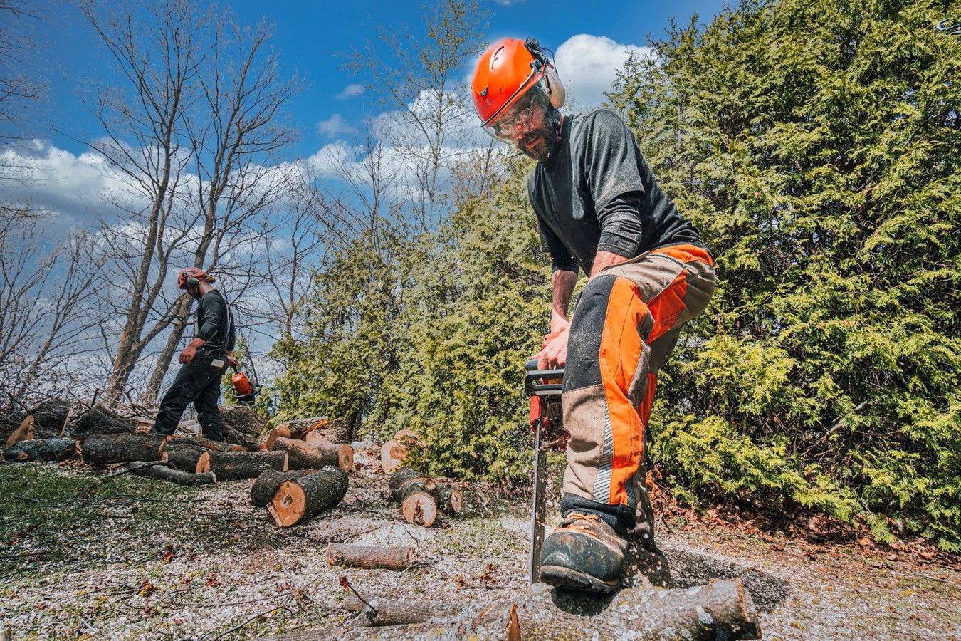 Importants travaux de déboisement à Rigaud 