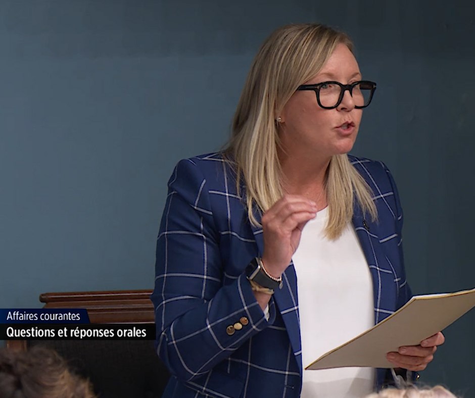 Municipal incivilities - Marie-Claude Nichols calls on government to act