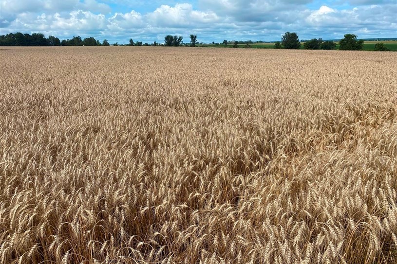 Le Syndicat de l'UPA de Vaudreuil-Soulanges finaliste au Gala Agristars