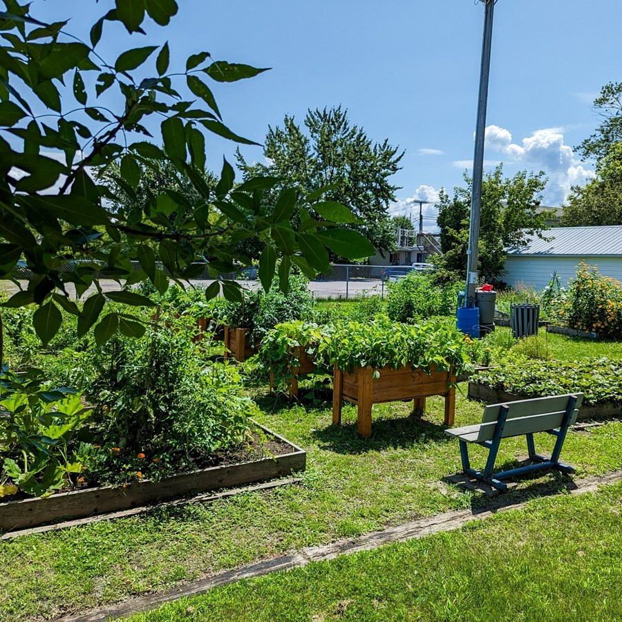Jardin communautaire: des espaces encore disponibles à Les Coteaux 