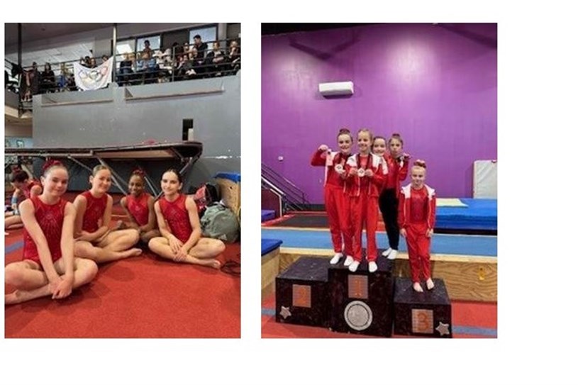 Gymini gymnasts put in a fine performance at the 3rd regional competition