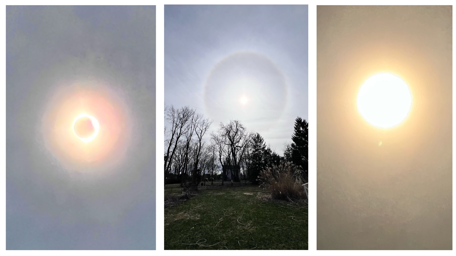 L'éclipse solaire vue par les lecteurs de Néomédia