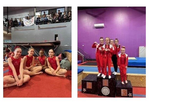 Gymini gymnasts put in a fine performance at the 3rd regional competition  
