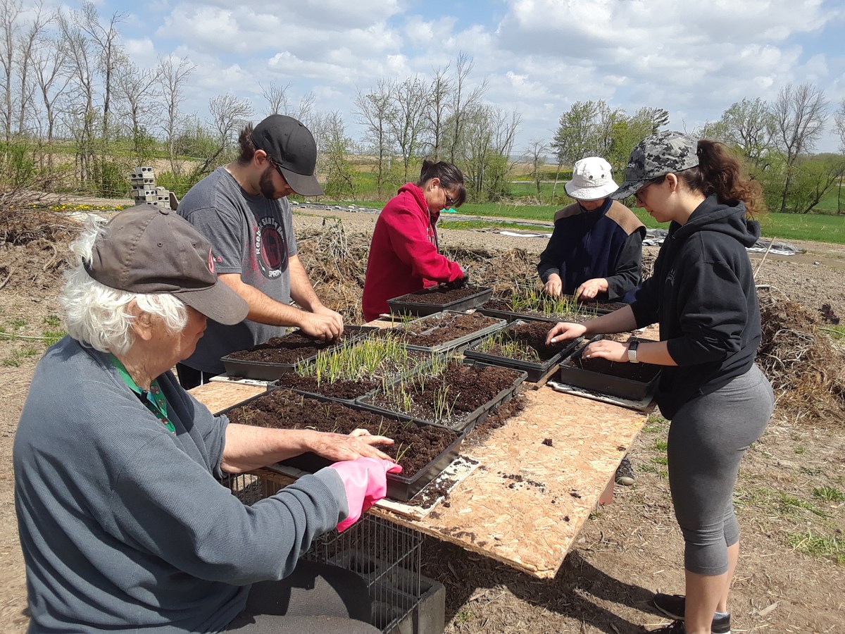 27 avril : inscrivez-vous à une activité de ferme maraîchère à Saint-Polycarpe 