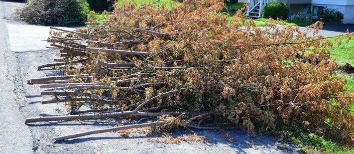 Pincourt: Nouvelle procédure pour la collecte de branches