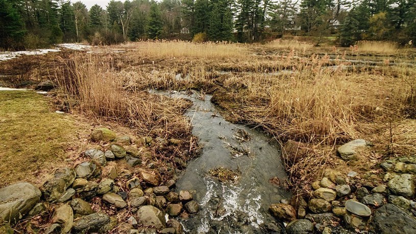 Rehabilitation of Pine Lake: Hudson puts project on hold