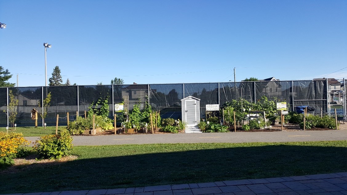Inscrivez-vous à l'entretien des potagers aux Cèdres