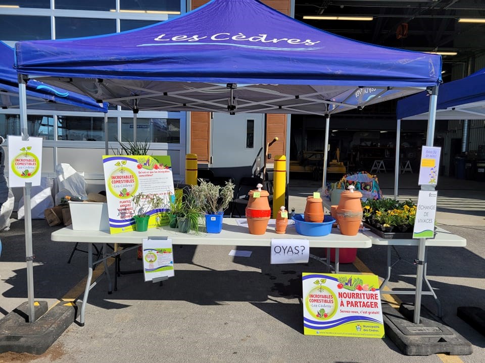 Sign up for vegetable garden maintenance at Les Cèdres