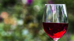 Rigaud : atelier de dégustation de vins du Sud-Ouest de la France