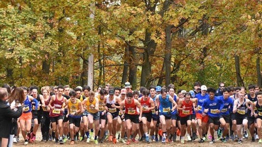 La région sélectionnée pour accueillir les Championnats provinciaux de cross-country