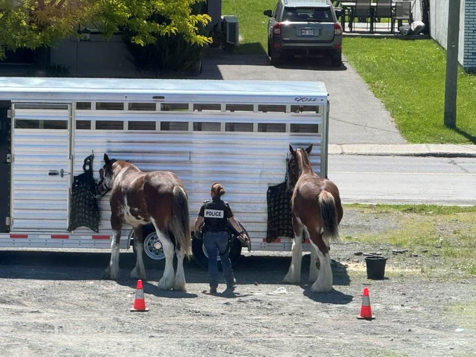 Une présence policière qui ne passe pas inaperçue sur les routes de Vaudreuil-Soulanges 