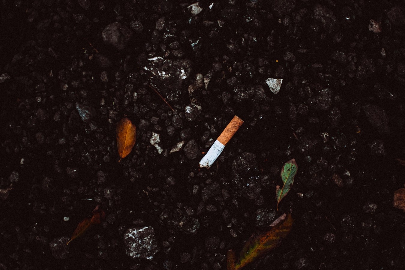 Don't put cigarette butts in flower pots