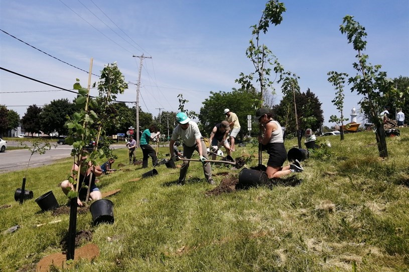 Pointes-des-Cascades plante 300 arbres avec Arbre-Évolution