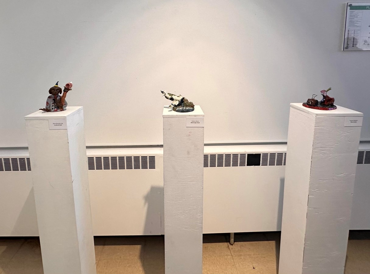 Bibliothèque Armand-Frappier :  exposition sur le rêve par des étudiants en arts visuels 