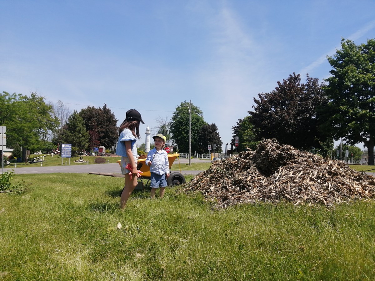Pointes-des-Cascades plants 300 trees with Arbre-Évolution