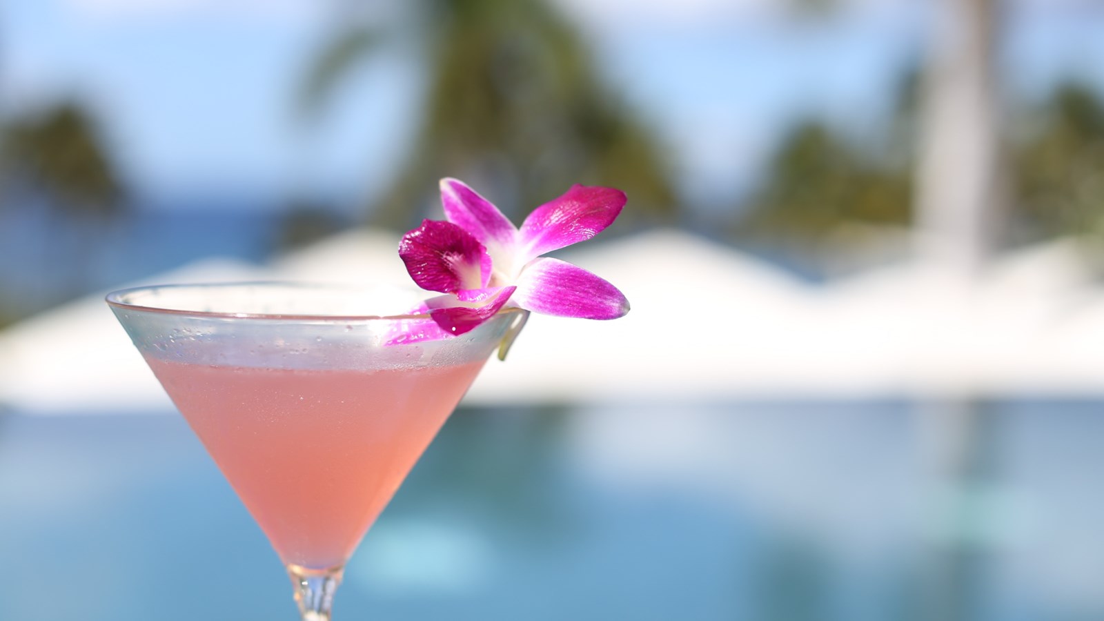 Summer season: how to drink responsibly?