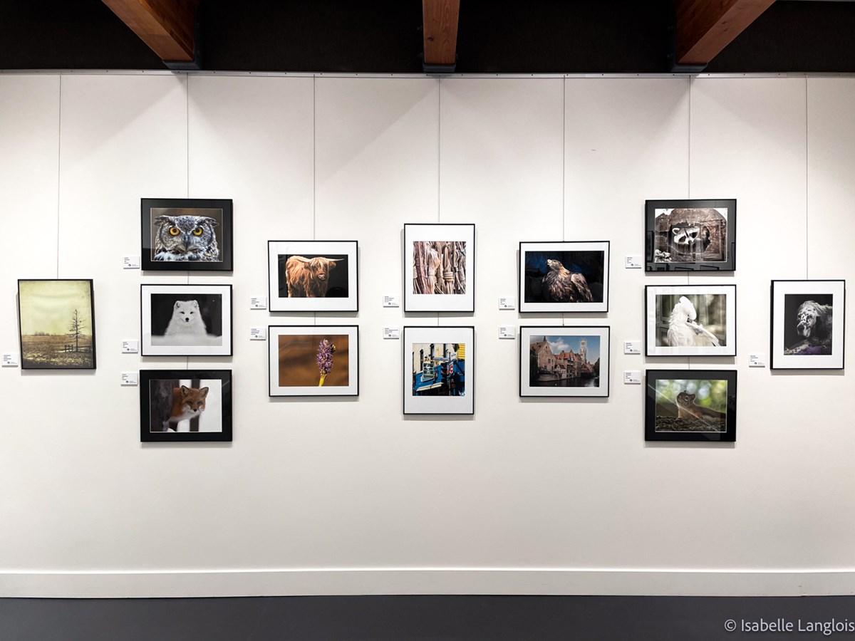 Jusqu'au 8 août : le Club photo Vaudreuil-Dorion expose ses meilleures photos