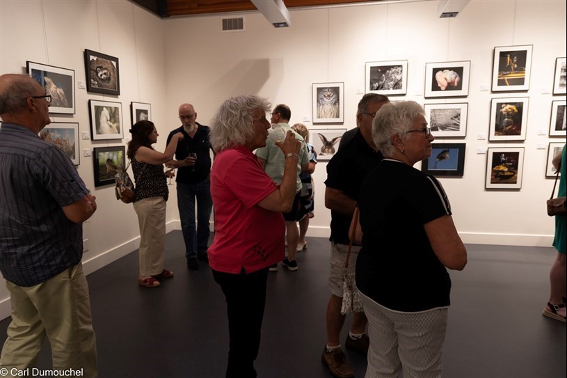 Jusqu'au 8 août : le Club photo Vaudreuil-Dorion expose ses meilleures photos