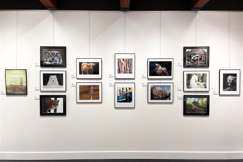 Until August 8: Club photo Vaudreuil-Dorion exhibits its best photos