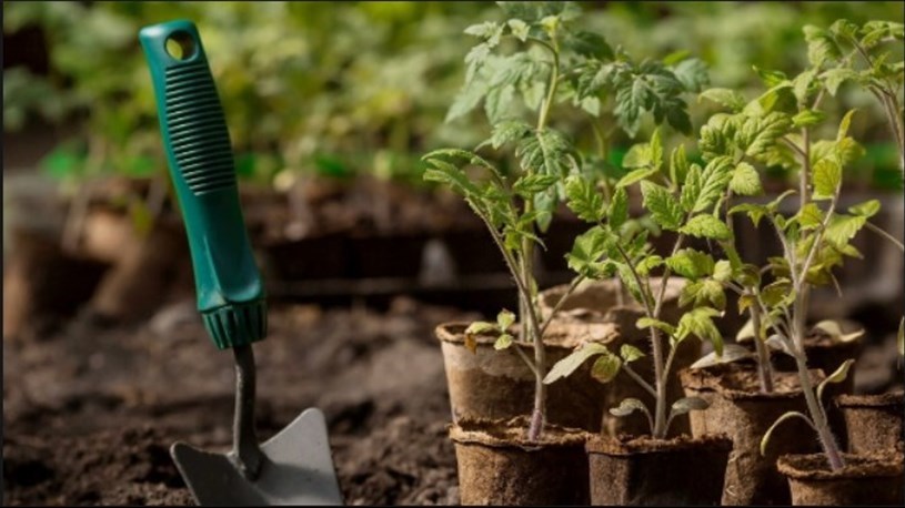 Ateliers de jardinage pour les enfants à Pointe-des-Cascades