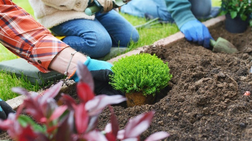 Gardening workshops for children at Pointe-des-Cascades  