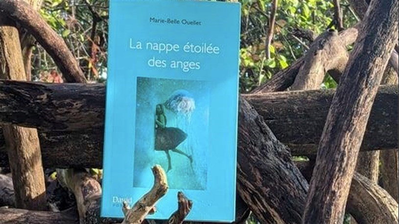 Pour vos vacances : quelques suggestions de livres d'auteurs d'ici