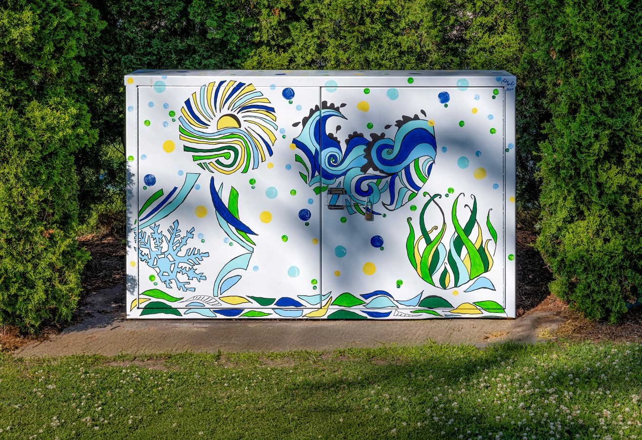 Artistic embellishment of electrical boxes in Vaudreuil-Dorion parks
