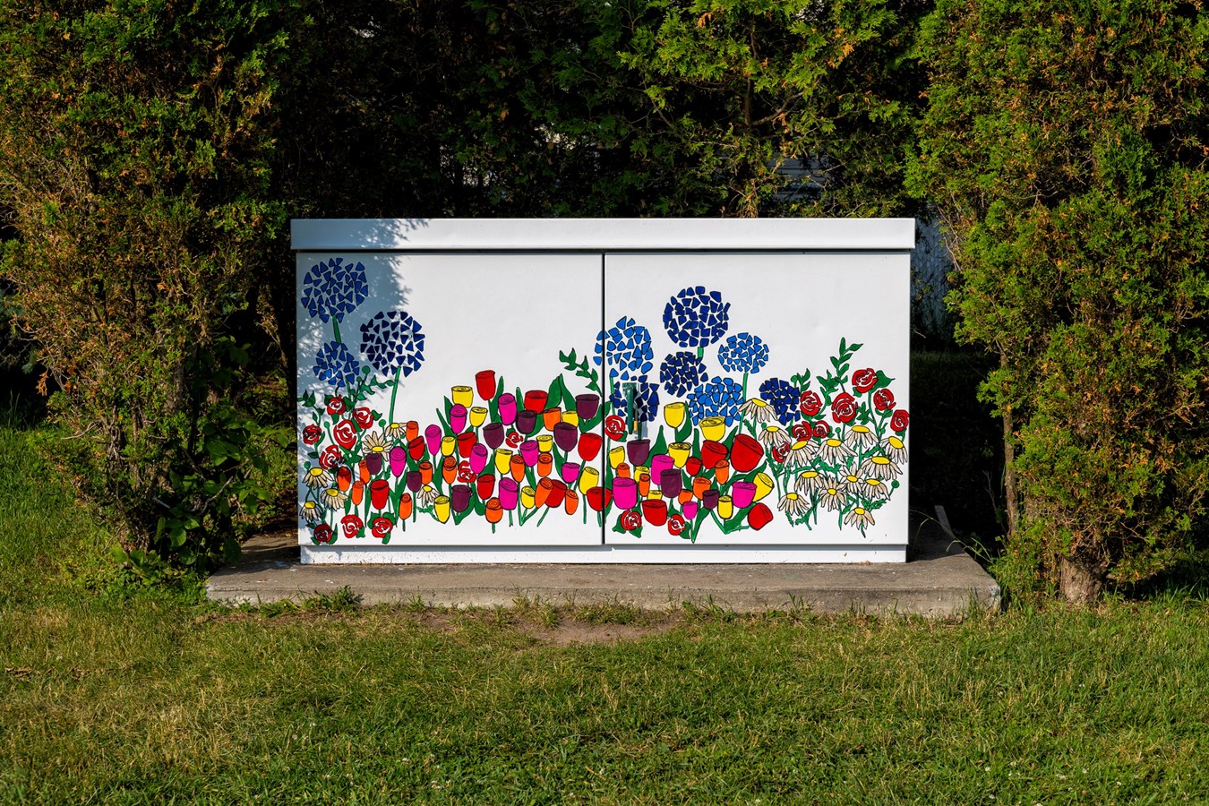 Artistic embellishment of electrical boxes in Vaudreuil-Dorion parks