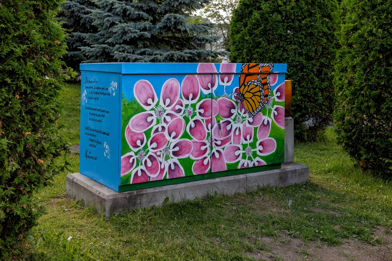 Artistic embellishment of electrical boxes in Vaudreuil-Dorion parks