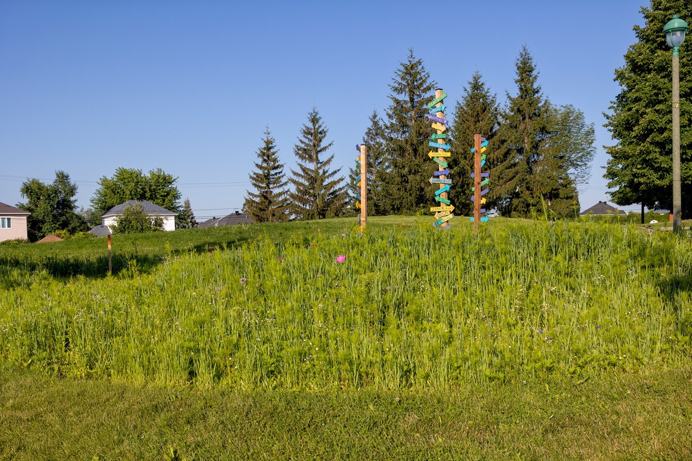 Des ilôts de biodiversité un peu partout à Vaudreuil-Dorion