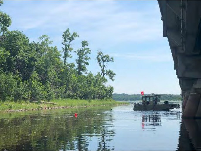 Pont-de-l'Île-aux-Tourtes: plus de 33 000 mulettes relocalisées depuis le démarrage du chantier