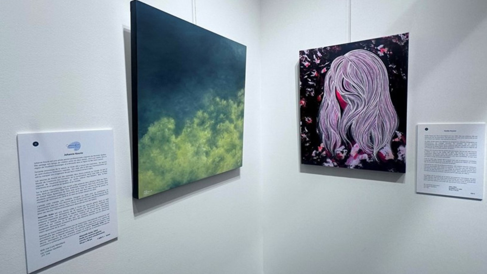 Works in the exhibition of La Route des arts de Vaudreuil-Soulanges 2024