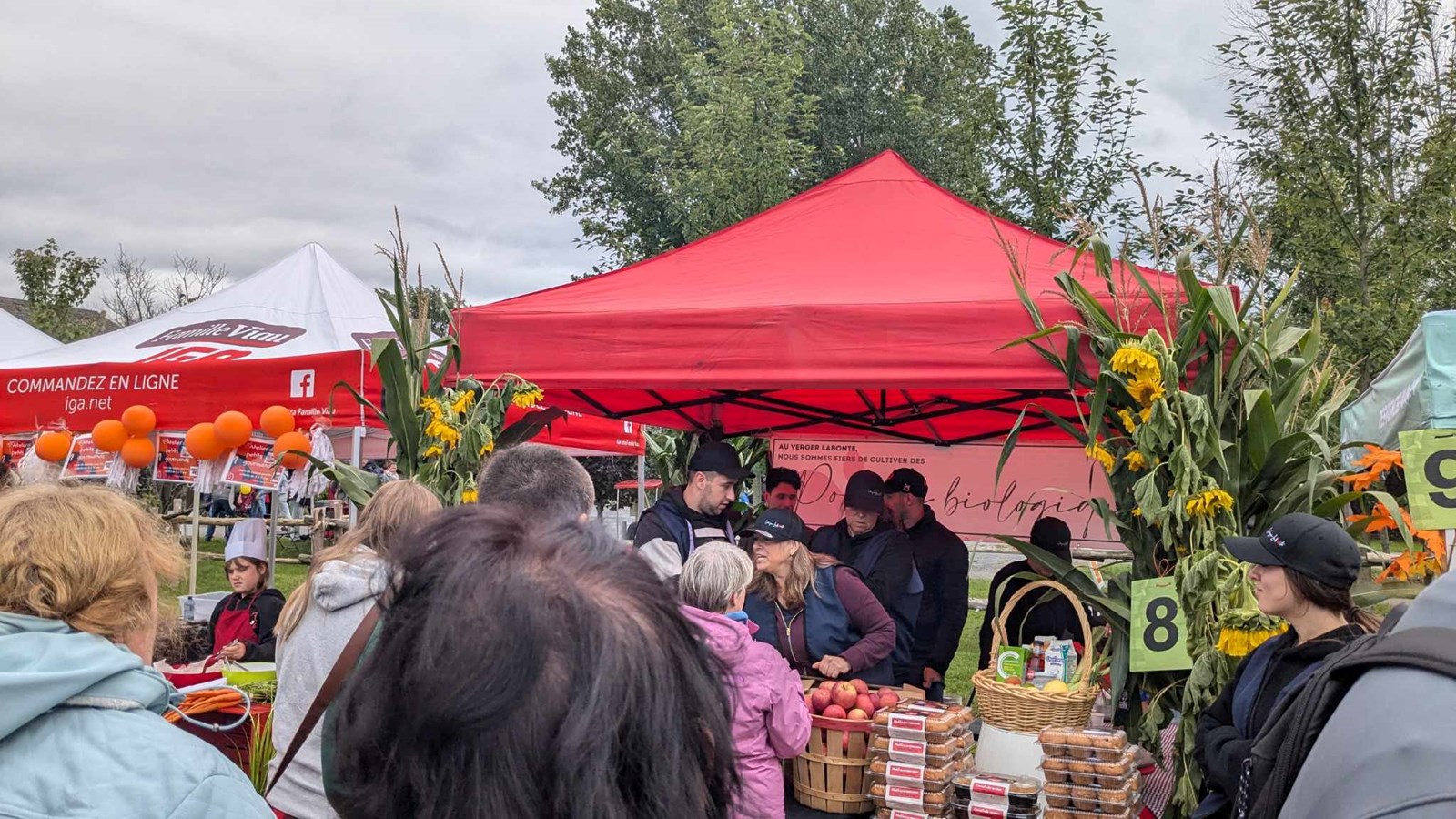 A look back at the SOUP Festival 2024