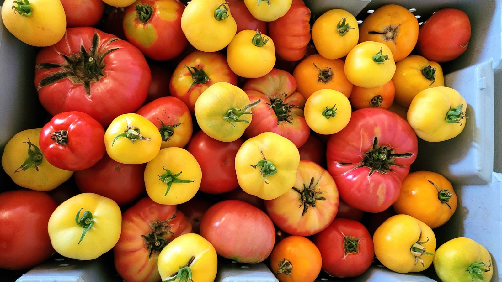 A harvest-themed Marché des Saveurs this Wednesday  