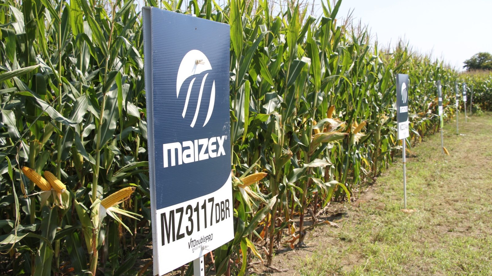 Uniag Coopérative attracts hundreds of agricultural producers to Suroît
