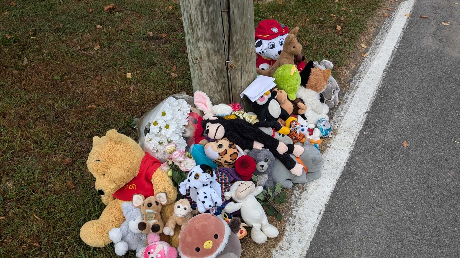 Murder in Coteau-du-Lac: investigations continue at the scene