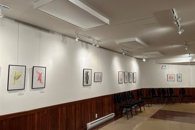 Artists wanted for the 2024-2025 edition of TRACE   