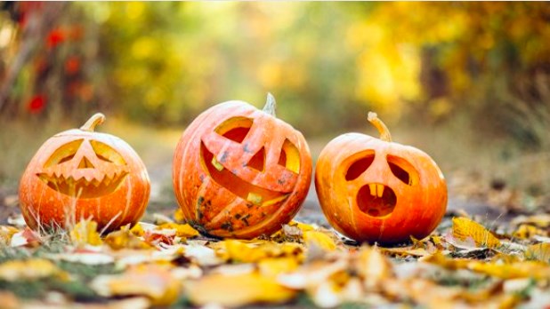 BOOharnois: une Halloween animée pour toute la famille