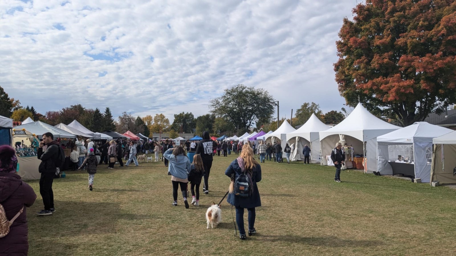 Retour en images sur le Festival des couleurs de Rigaud